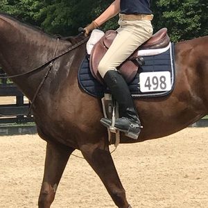 Boys Ovation tan breeches